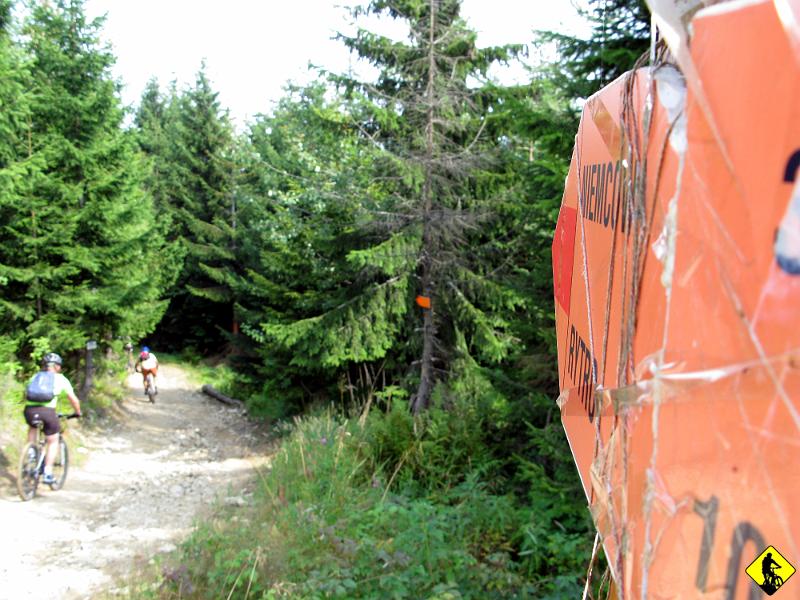 foto 081.jpg - Docieramy do Wielkiego Rogacza, gdzie odbijamy na Niemcową, by dotrzeć do Piwnicznej.